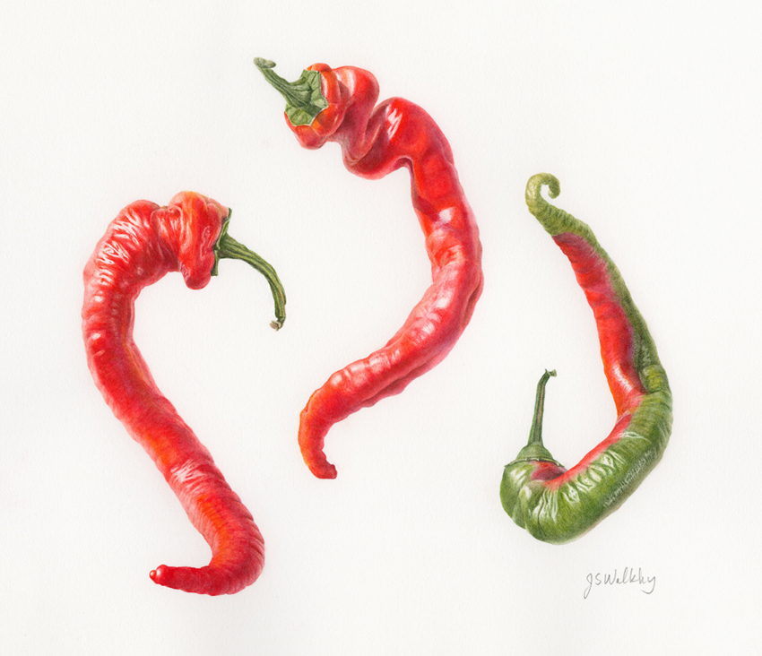 Jimmy Nardello Sweet Peppers