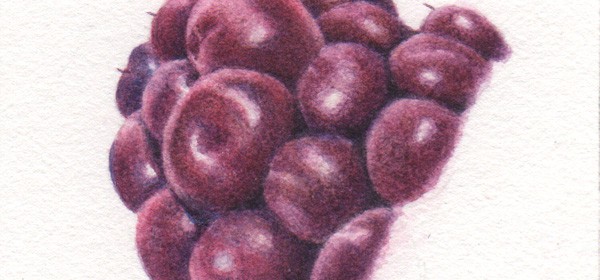 Tips from Texture Workshop