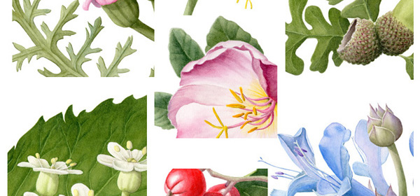 Brushed Out of My Comfort Zone