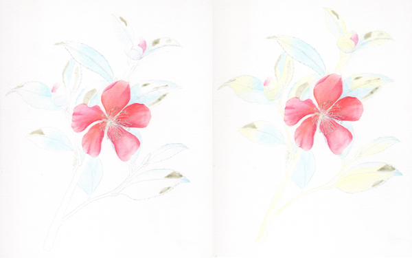 I applied mask to the areas that I wanted to preserve white (with a brush); then applied a blue wash over the 'cool' side of the leaves, and then yellow over the 'warm' side.