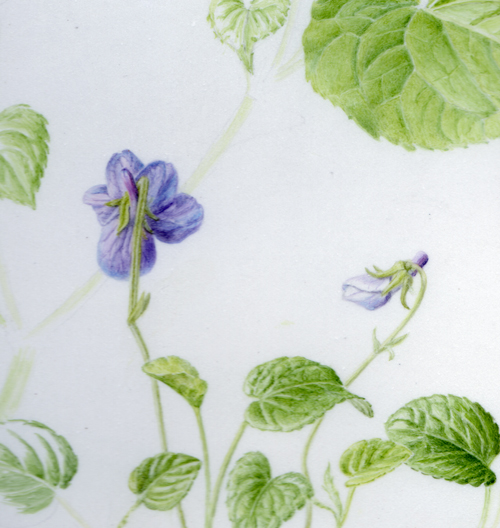 The violet and some of the leaves in progress.