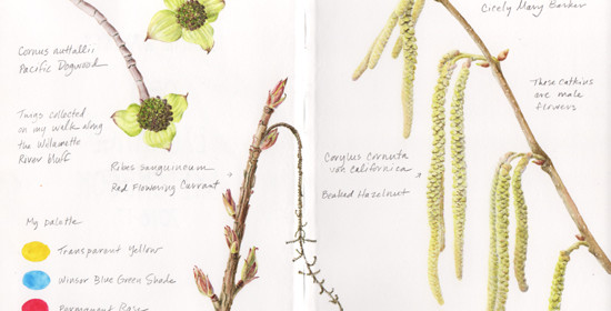 Sketchbook–Winter Twigs