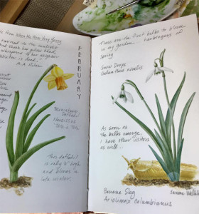 Sketchbook Page with Flowering Bulbs
