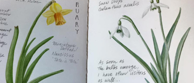 Sketchbook–Early Bulbs & More